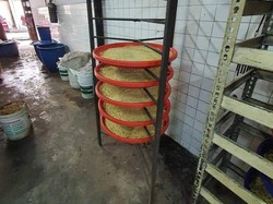 Jadi Sarang Tikus, Pabrik Mie Ini Penuh Dengan Kotoran Tikus!