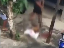 Video Anjing Dipukuli hingga Mati di Bali, Pelaku Diburu Polisi