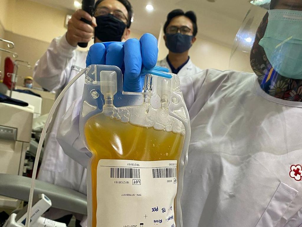 Penjelasan RSHS Bandung Soal Terapi Plasma Konvalesen untuk COVID-19 Penjelasan RSHS Bandung Soal Terapi Plasma Konvalesen untuk COVID-19