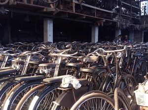 Hai Kamu yang Hobi Gowes, Ada Tempat Sewa Sepeda Lho di Borobudur Hai Kamu yang Hobi Gowes, Ada Tempat Sewa Sepeda Lho di Borobudur