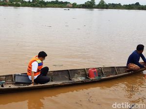 Pari Raksasa Langka Mabuk di Sungai Musi, Pemkab: Air Mengandung Belerang