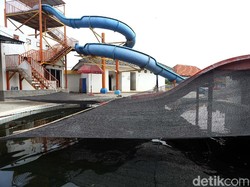 Ternyata, Ini Alasan Pemanfaatan Kolam Renang Jadi Ternak Lele
