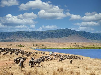 7 Tempat Wisata Tanzania yang Tak Kalah Indah dari Tanzanite