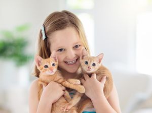 Kenapa Kucing Tidak Mau Makan? Ketahui Penyebab dan Cara Mengatasinya Kenapa Kucing Tidak Mau Makan? Ketahui Penyebab dan Cara Mengatasinya