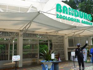 Hari Pertama Buka, Kebun Binatang Bandung Masih Sepi Pengunjung Hari Pertama Buka, Kebun Binatang Bandung Masih Sepi Pengunjung