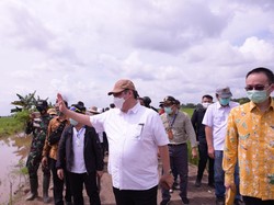 Pemerintah Akan Bangun Food Estate Tahap Pertama di Pulau Pisang-Kapuas