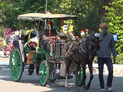 Unik, Mahasiswa UNS Ikuti Wisuda Drive Thru Pakai Andong-Mobil Listrik
