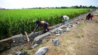 Ini Dia Program Antipengangguran Imbas Pandemi Corona