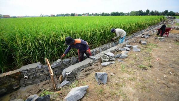 Ini Dia Program Antipengangguran Imbas Pandemi Corona