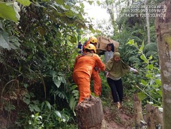 Tanah di Area Longsor Palopo Terus Goyang, Puluhan Warga Tetap Bertahan di Rumah