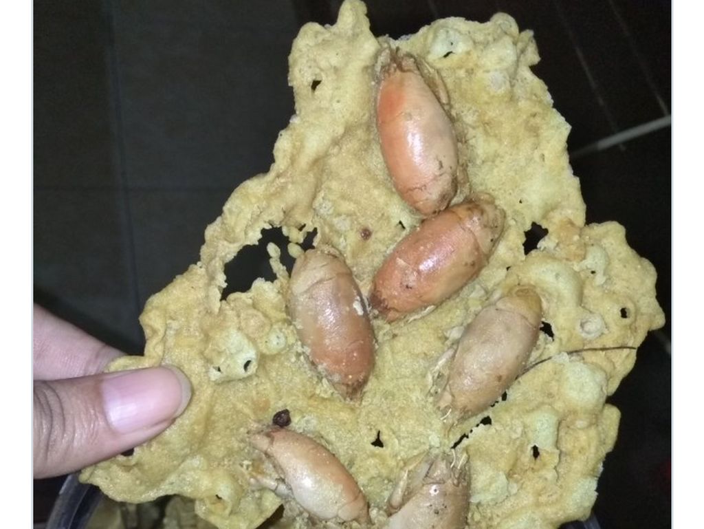 Lihat Peyek Undur-undur, Netizen : Kirain Kecoa Goreng Lihat Peyek Undur-undur, Netizen : Kirain Kecoa Goreng