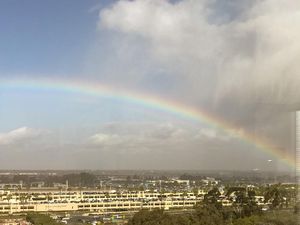 Politisi Minta Ganti Nama Bandara Gegara Komentar Rasis di Playboy