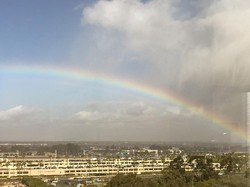 Politisi Minta Ganti Nama Bandara Gegara Komentar Rasis di Playboy