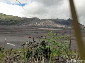 Sambut New Normal, Para Pelaku Wisata Berharap Bromo Segera Dibuka