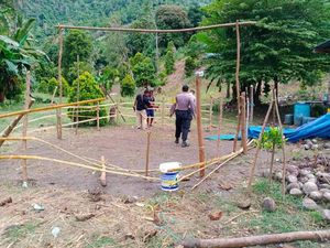 Polisi Grebek Judi Sabung Ayam di Kolaka Utara Sultra Polisi Grebek Judi Sabung Ayam di Kolaka Utara Sultra
