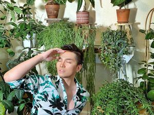 Pria Rogoh Rp 72 Juta untuk Penuhi Rumah dengan Tanaman, Begini Hasilnya