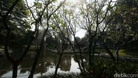 Ditutup karena Corona, Taman Ayodya Jadi Asri
