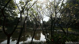 Ditutup karena Corona, Taman Ayodya Jadi Asri