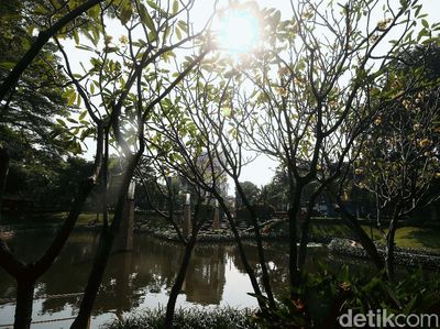 Ditutup karena Corona, Taman Ayodya Jadi Asri