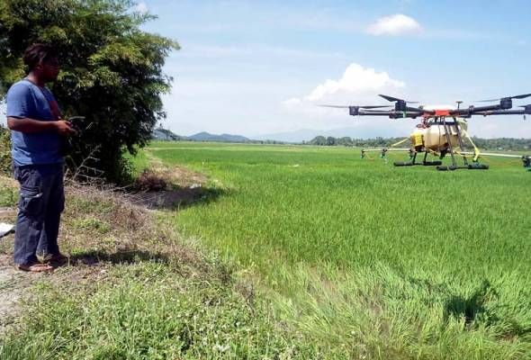 drone malaysia farmer drone malaysia farmer