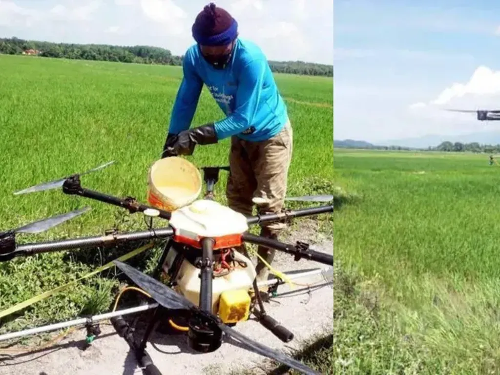 Drone Bantu Petani, Pemuda Ini Dapat Uang Rp 16 Juta Perbulan Drone Bantu Petani, Pemuda Ini Dapat Uang Rp 16 Juta Perbulan