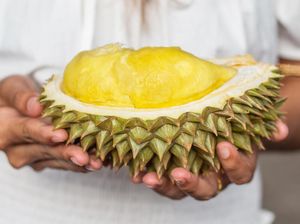 Hati-hati! Penjual Durian Ini Patok Harga Sesuai Mobil Pelanggan