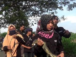 Keluhan Petani Soal Hama di Kediri Dijawab dengan Pelepasan Satwa Liar