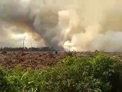 Memasuki Musim Kemarau, Lahan Gambut di Pelalawan Riau Terbakar