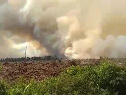 73 Orang dan 2 Korporasi Jadi Tersangka Kasus Karhutla