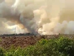 73 Orang dan 2 Korporasi Jadi Tersangka Kasus Karhutla