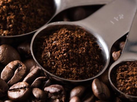Manfaat ampas kopi untuk tanaman