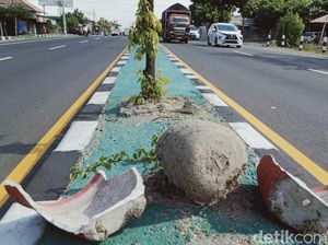 Ini Dia Perusak Pot Bunga Penghias Median Jalan Yogya-Solo di Klaten