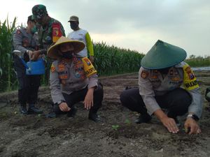 Sebuah Desa di Mojokerto Terapkan Ketahanan Pangan Hadapi COVID-19