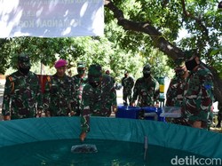 Marinir di Situbondo Kembangkan Program Ketahanan Pangan Libatkan Warga