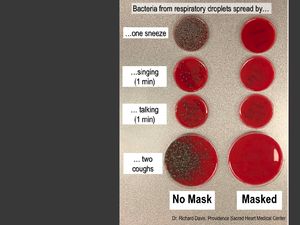 Eksperimen Viral Ini Buktikan Masker Paling Ampuh Halangi Mikroba