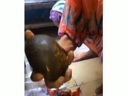 Bocah Ini Kena Semprot Emaknya Karena Bawel Tanya Bumbu Dapur