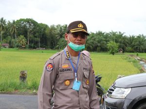 Polisi Ringkus Pelaku yang Edarkan Pestisida Palsu ke Bengkulu Polisi Ringkus Pelaku yang Edarkan Pestisida Palsu ke Bengkulu