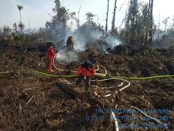 Kebakaran Lahan Gambut di Pelalawan Riau Sudah Bisa Dikendalikan