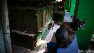 Pasar Mede Cilandak Mati Suri Usai Pedagang Positif Corona