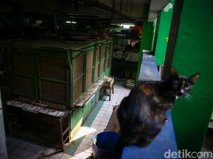 Pasar Mede Cilandak Mati Suri Usai Pedagang Positif Corona