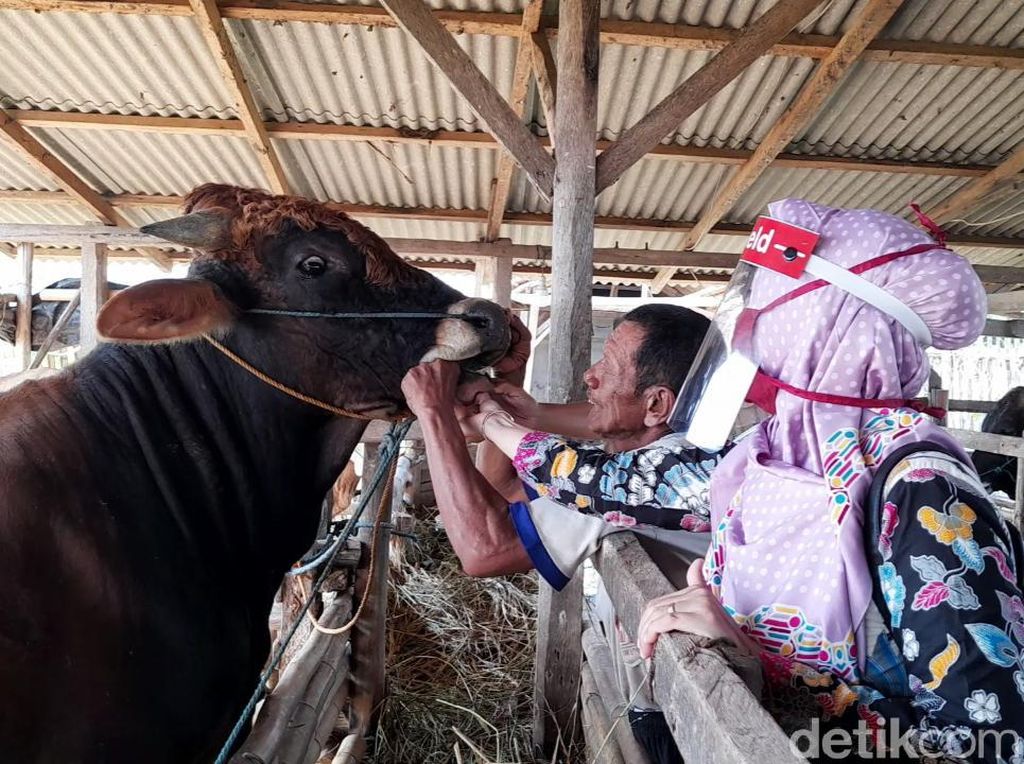Kapasitas RPH Minim, Pemkab Bantul Atur soal Potong Hewan Kurban Kapasitas RPH Minim, Pemkab Bantul Atur soal Potong Hewan Kurban