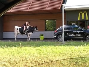 5 Aksi Aneh Orang Pesan Makanan Drive Thru, Naik Kuda hingga Sapi 5 Aksi Aneh Orang Pesan Makanan Drive Thru, Naik Kuda hingga Sapi