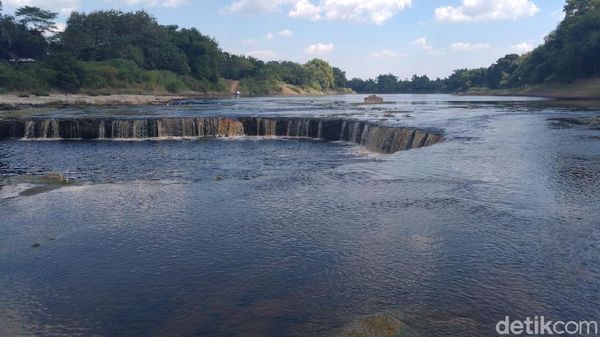 Lagi-lagi Tercemar Limbah Ciu, Bengawan Solo Riwayatmu Kini...