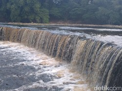 Hiiiy, Bengawan Solo di Blora Keruh dan Berbuih