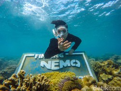 Pulau Gili Ketapang, Konon Wisata Baharinya Tercantik di Jawa Timur