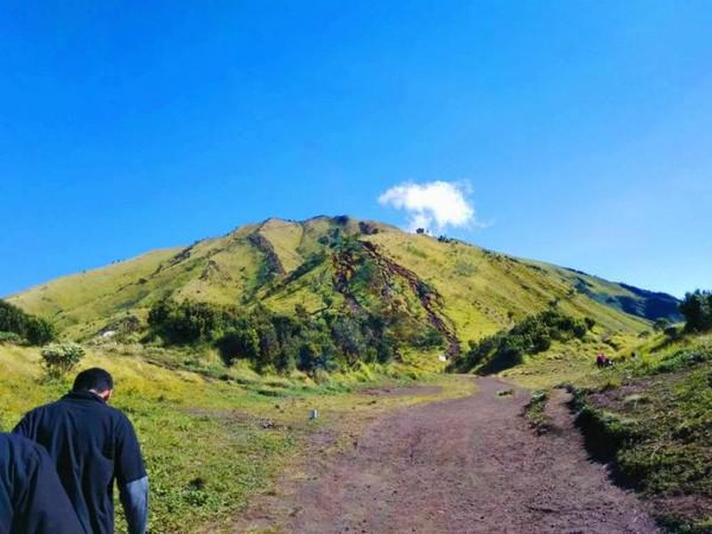 Cantiknya Gunung Merbabu yang Bikin Kangen Cantiknya Gunung Merbabu yang Bikin Kangen