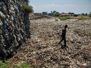 Jadi Pemungut Sampah, Pria Ini Bisa Bangun Perusahaan Rp 4 Triliun Jadi Pemungut Sampah, Pria Ini Bisa Bangun Perusahaan Rp 4 Triliun