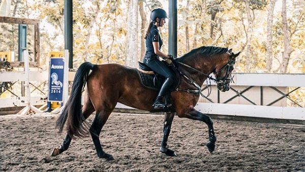 7 Artis Cantik Indonesia yang Hobi Berkuda