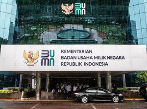 14 BUMN Masih Jadi Pasien PPA, Begini Kondisinya 14 BUMN Masih Jadi Pasien PPA, Begini Kondisinya