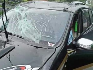 Dahan Pohon Patah di Jalan Raya Lembang Timpa Mobil dan Motor